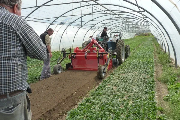 Massano Italy gallery della baulatrice RSD 4